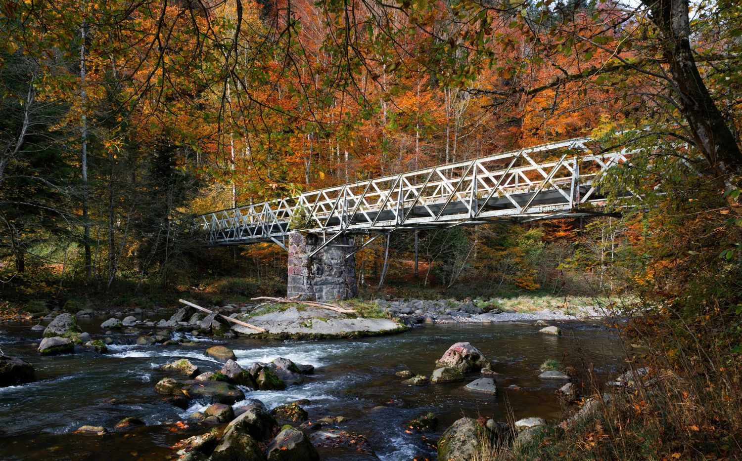 White footbridge over a rocky creek in an autumn forest with orange and red leaves