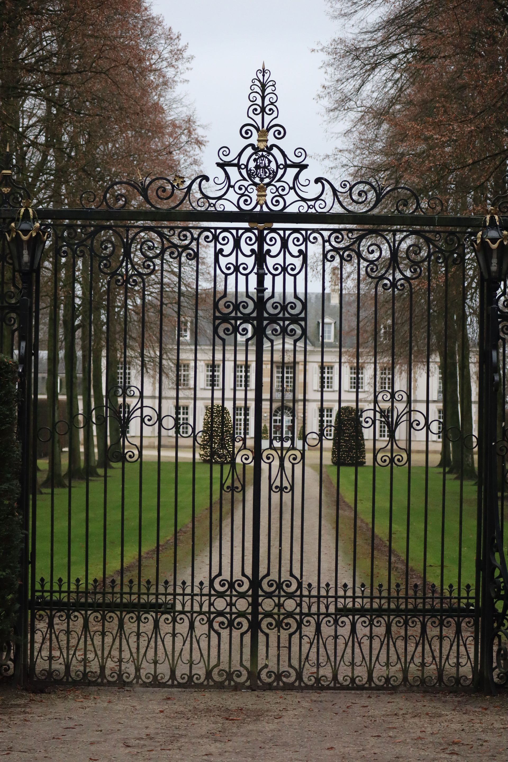 Ornate black metal gates at the entrance to a property
