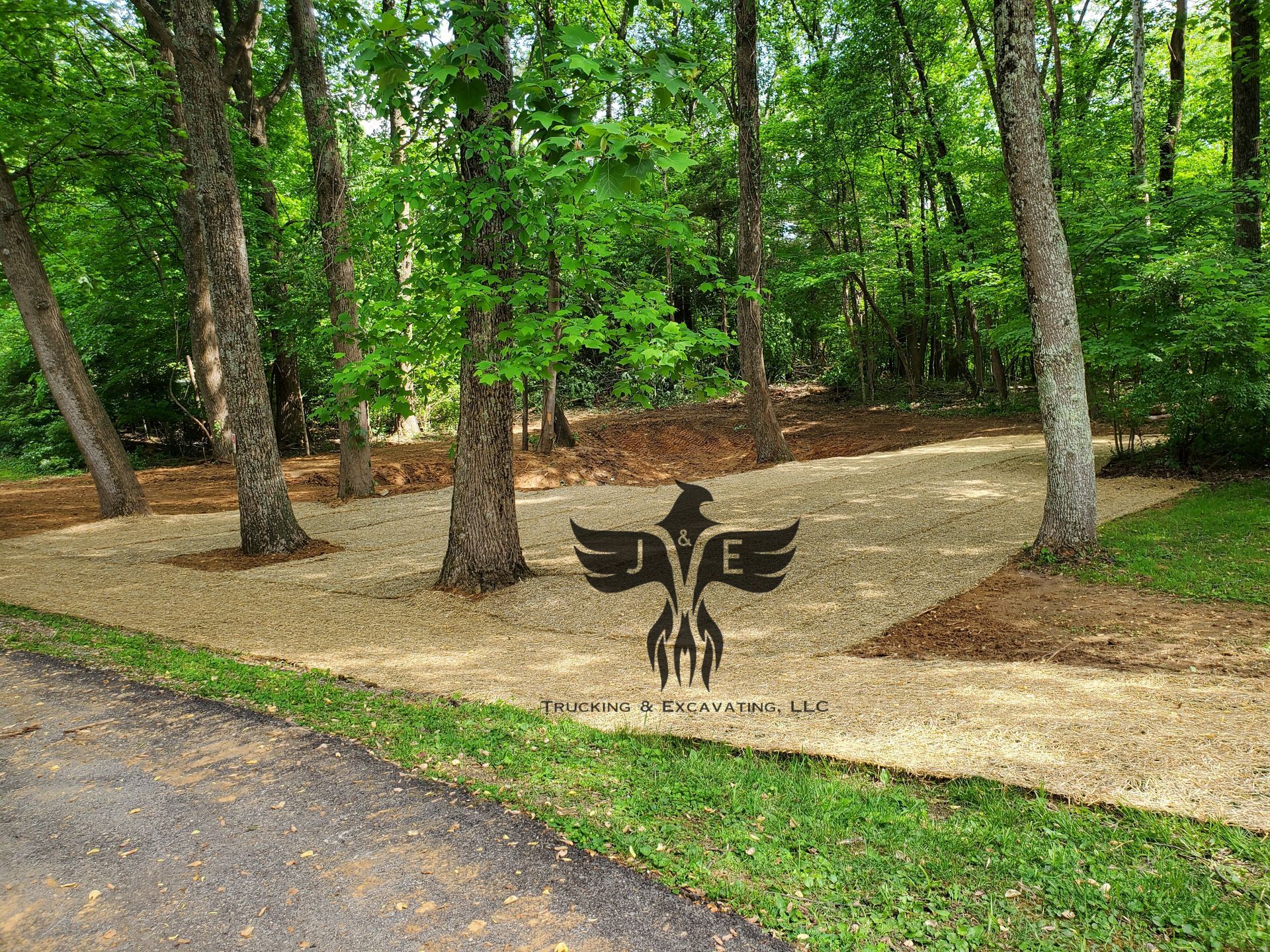 Forest-edge path with a black eagle emblem painted on the ground amid trees and mulch.