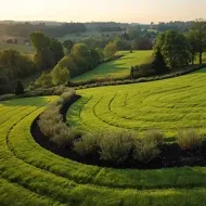 Sunlit green rolling hills with curving crop rows and trees under a hazy sky