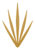 Gold five-pointed abstract leaf or flame logo on a white background