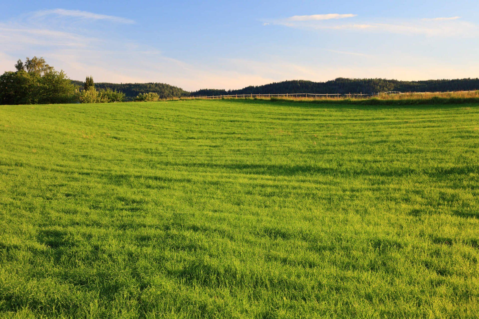 We Buy Land for Cash