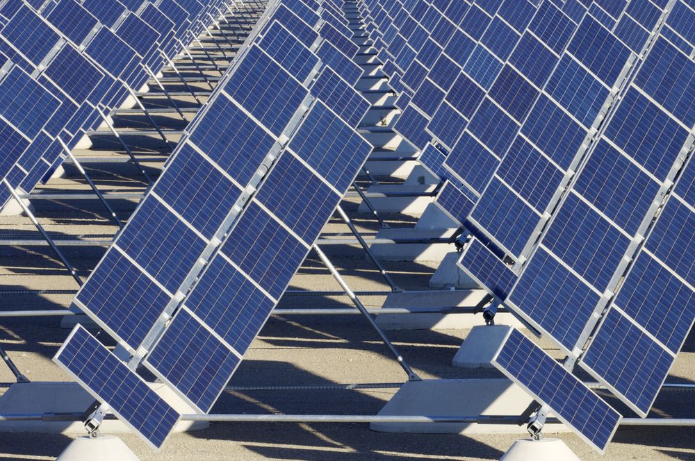 A Row of Solar Panels Are Lined Up in a Field — Spot On Solar International in Beresfield, NSW