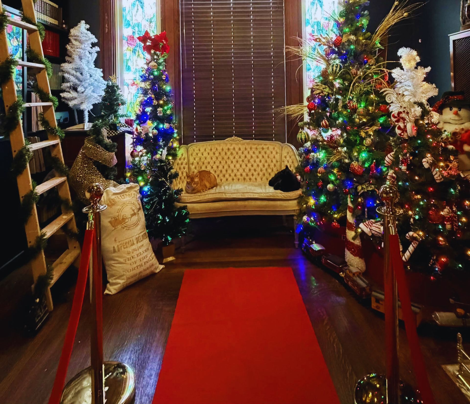 Festive room with Christmas trees, colorful lights, red runner, and a bench by the window