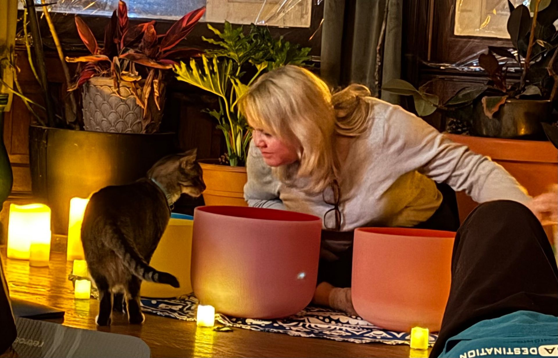 Woman leaning toward a black cat beside two glowing pink bowls in a warm-lit indoor room.