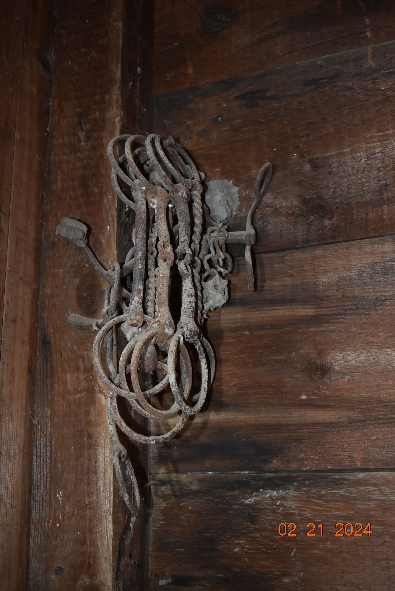 Metal horse devices.