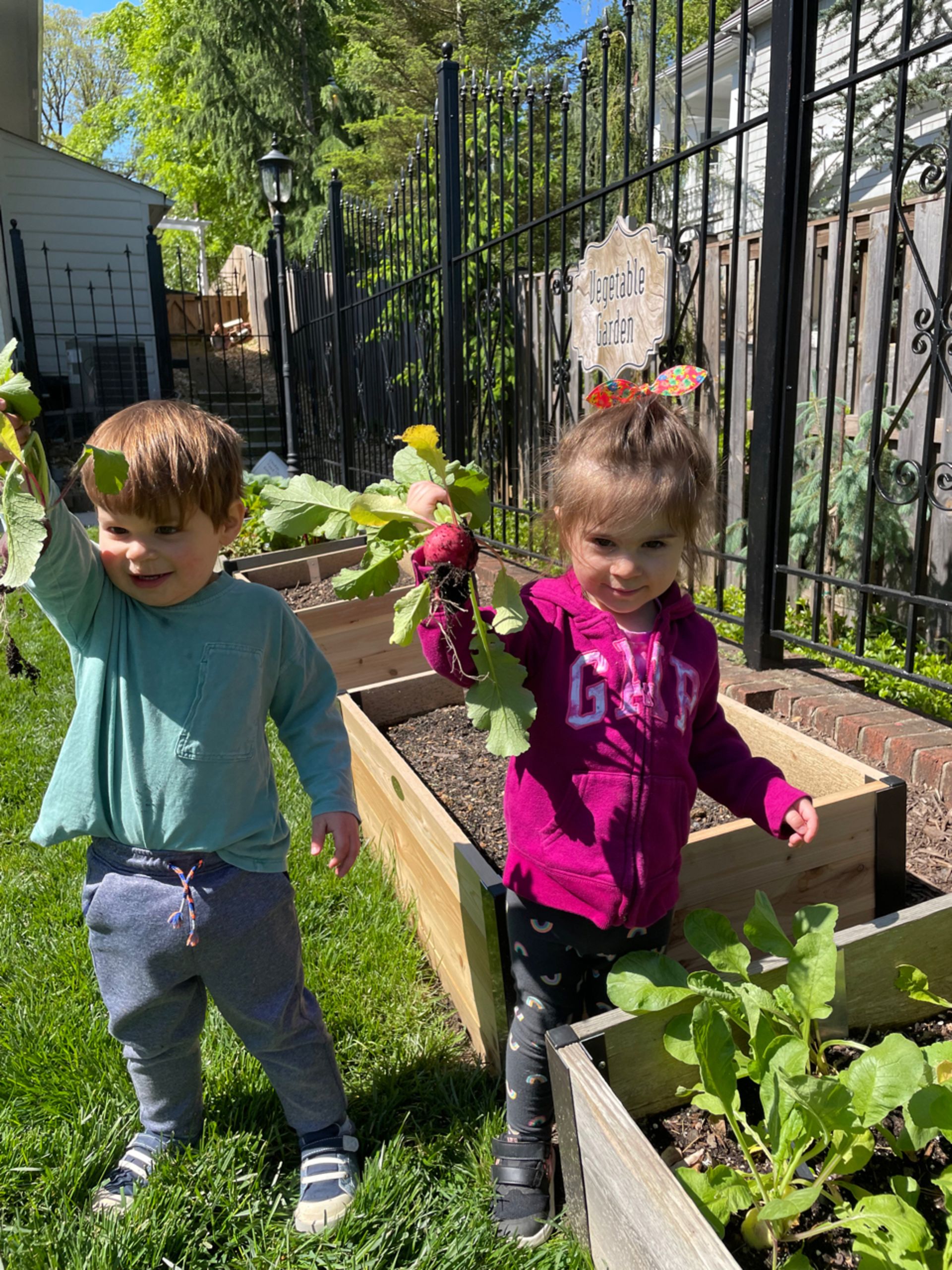 Montessori children in the garden 