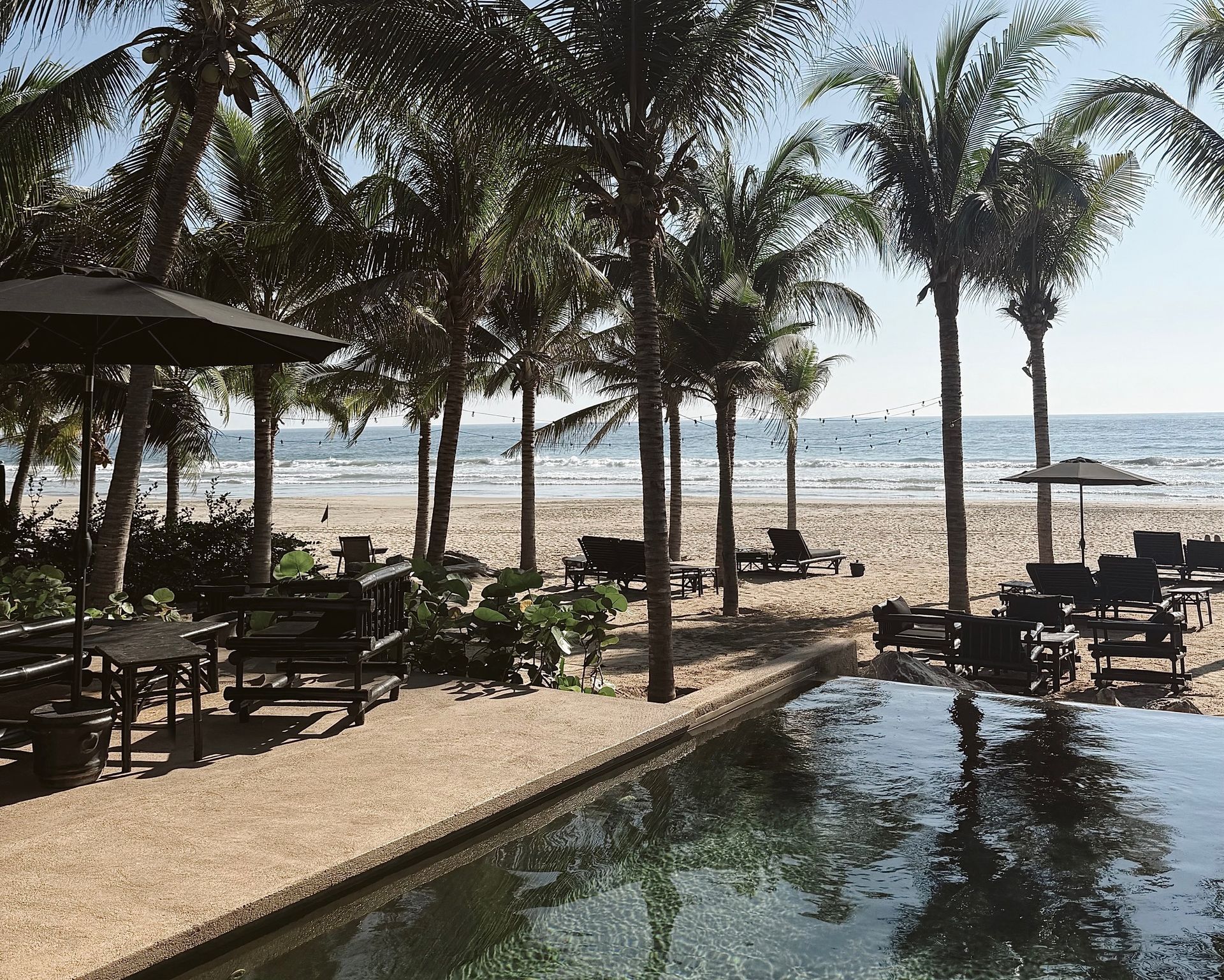 A swimming pool surrounded by palm trees leading to the beach