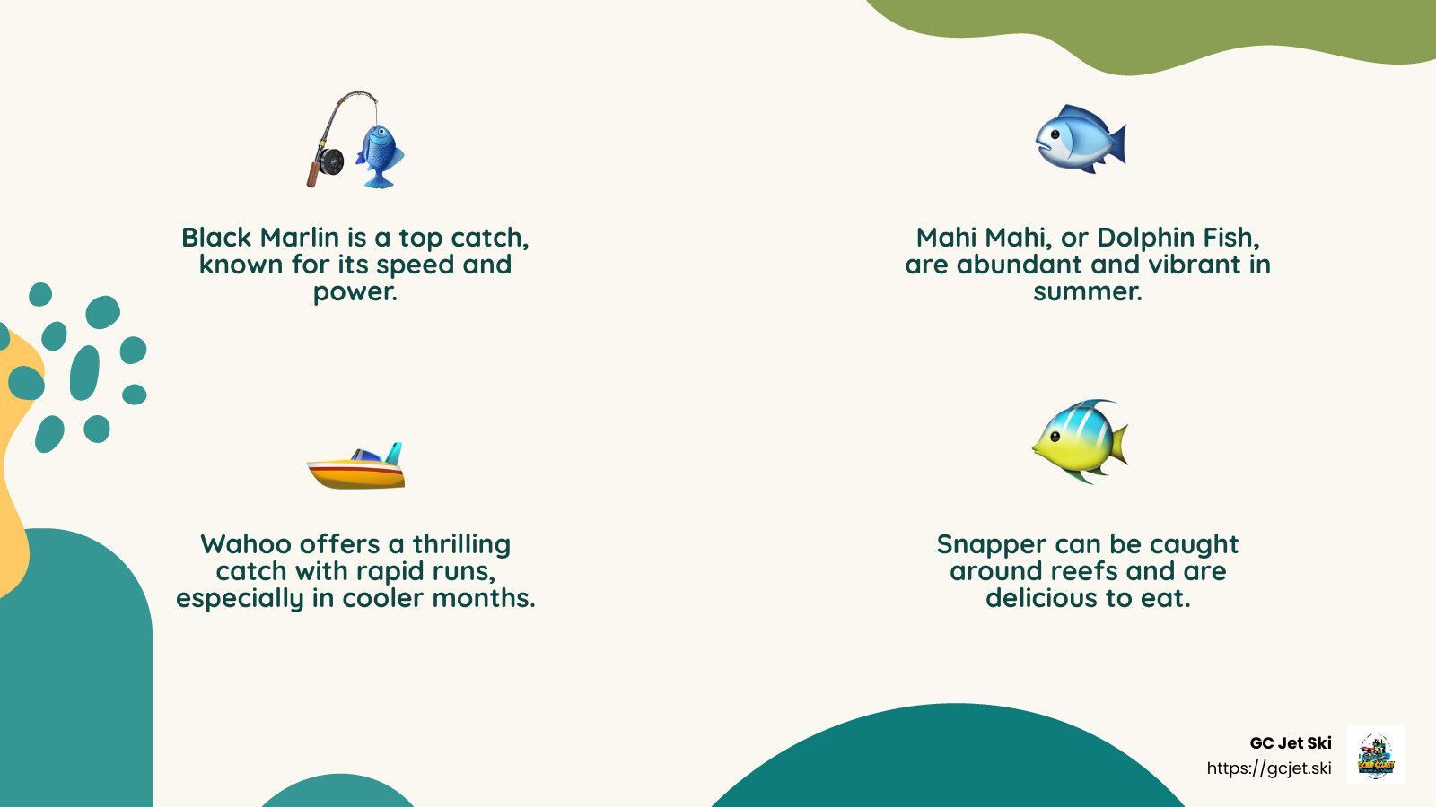 Diagram showcasing four fish: Black Marlin, Mahi Mahi, Wahoo, and Snapper.