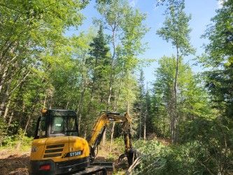 Yellow excavator working on a forest trail among trees and brush.