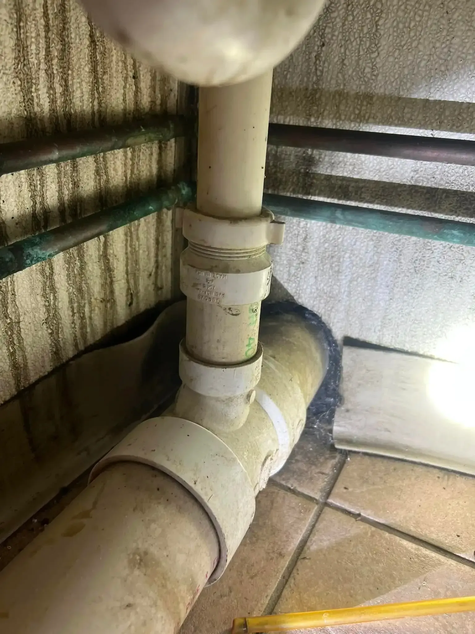 Pest inspector examining crawlspace during rodent inspection