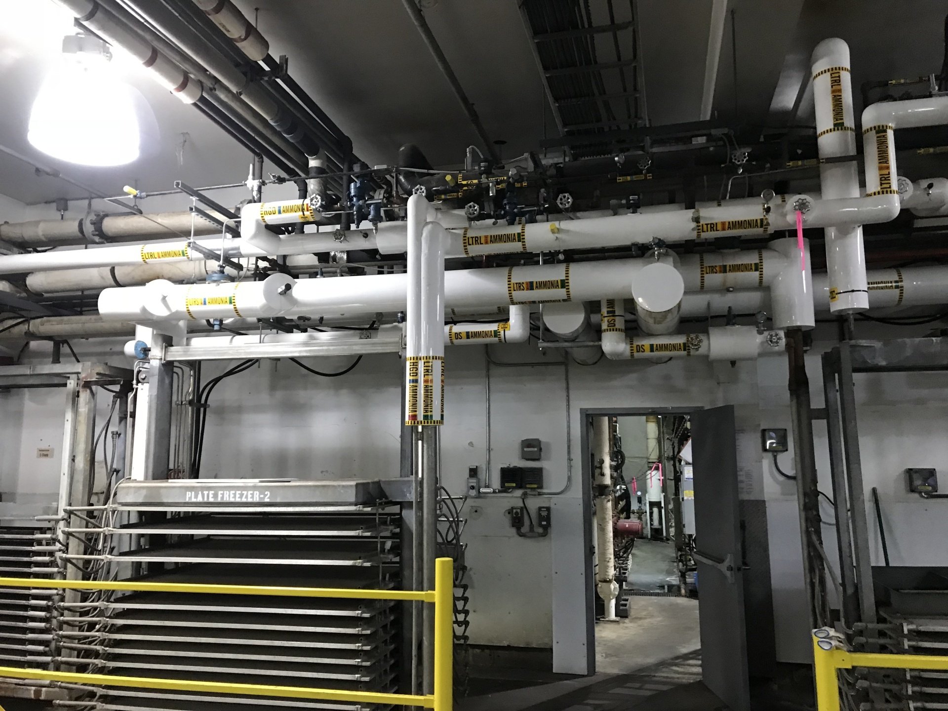 ALASKA FISH PROCESSING