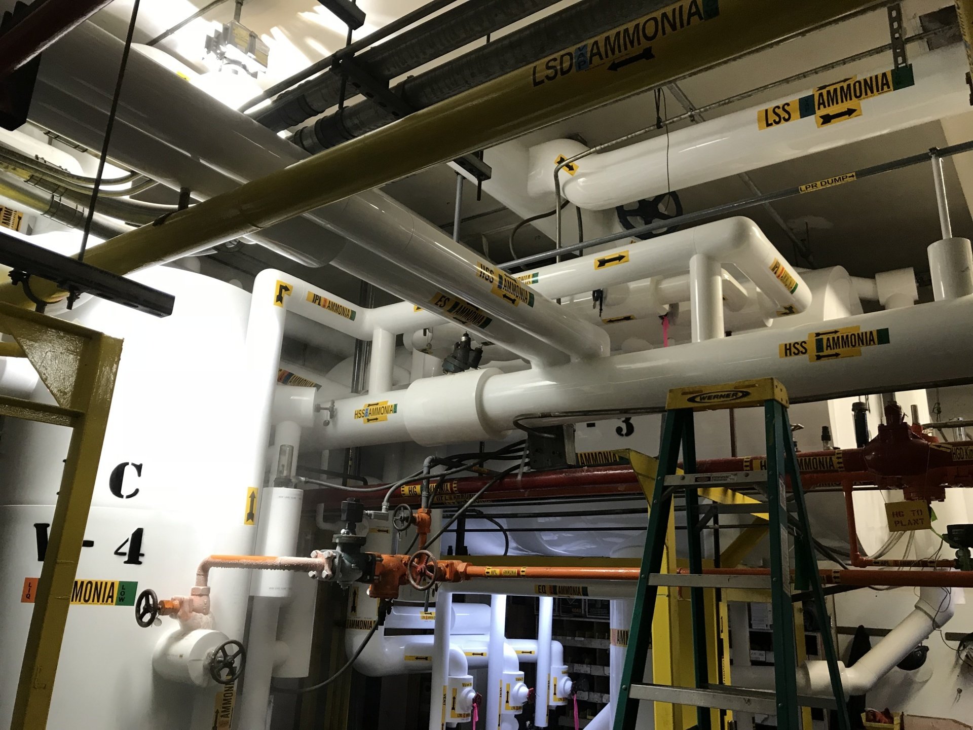 ALASKA FISH PROCESSING