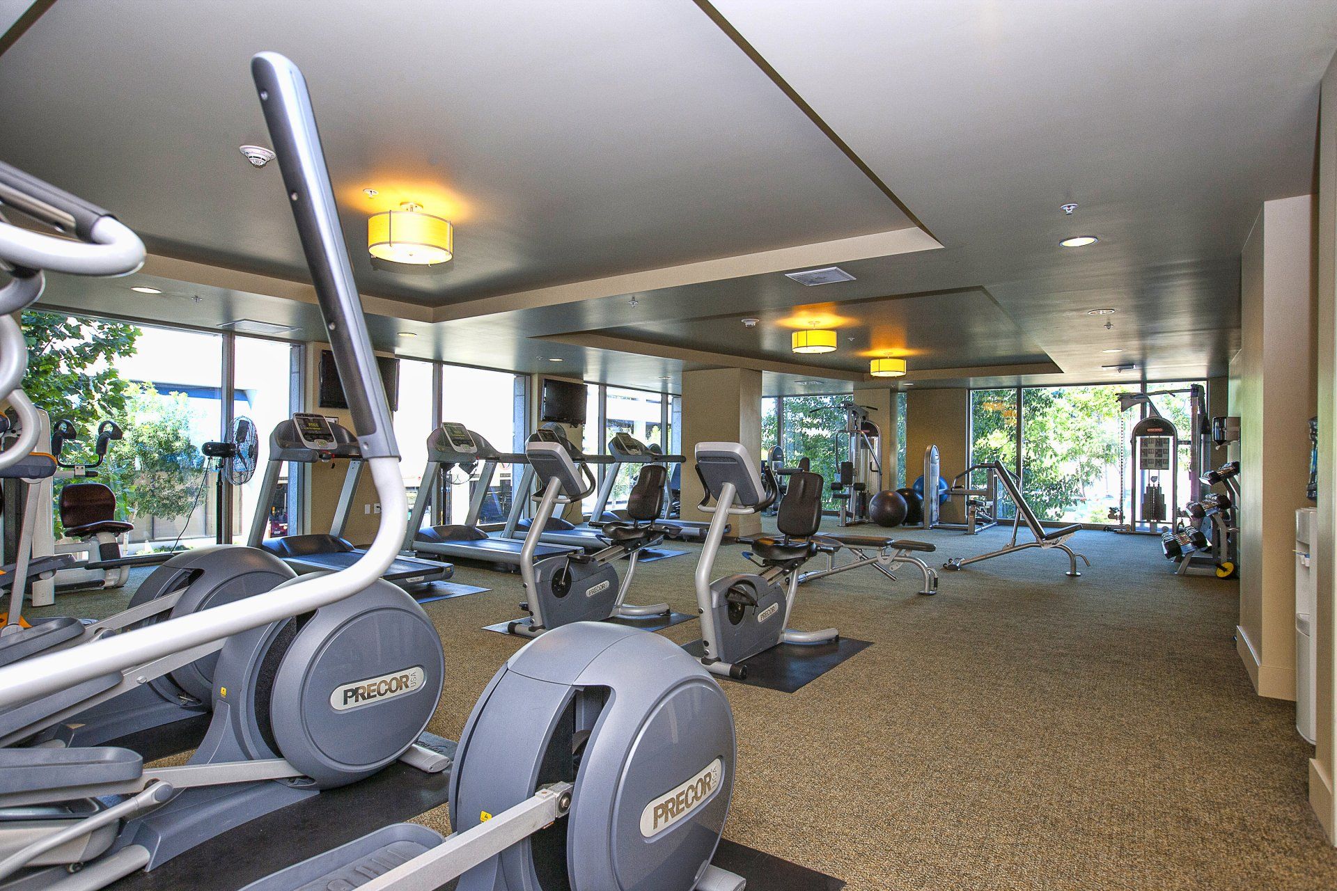 Axis Gym