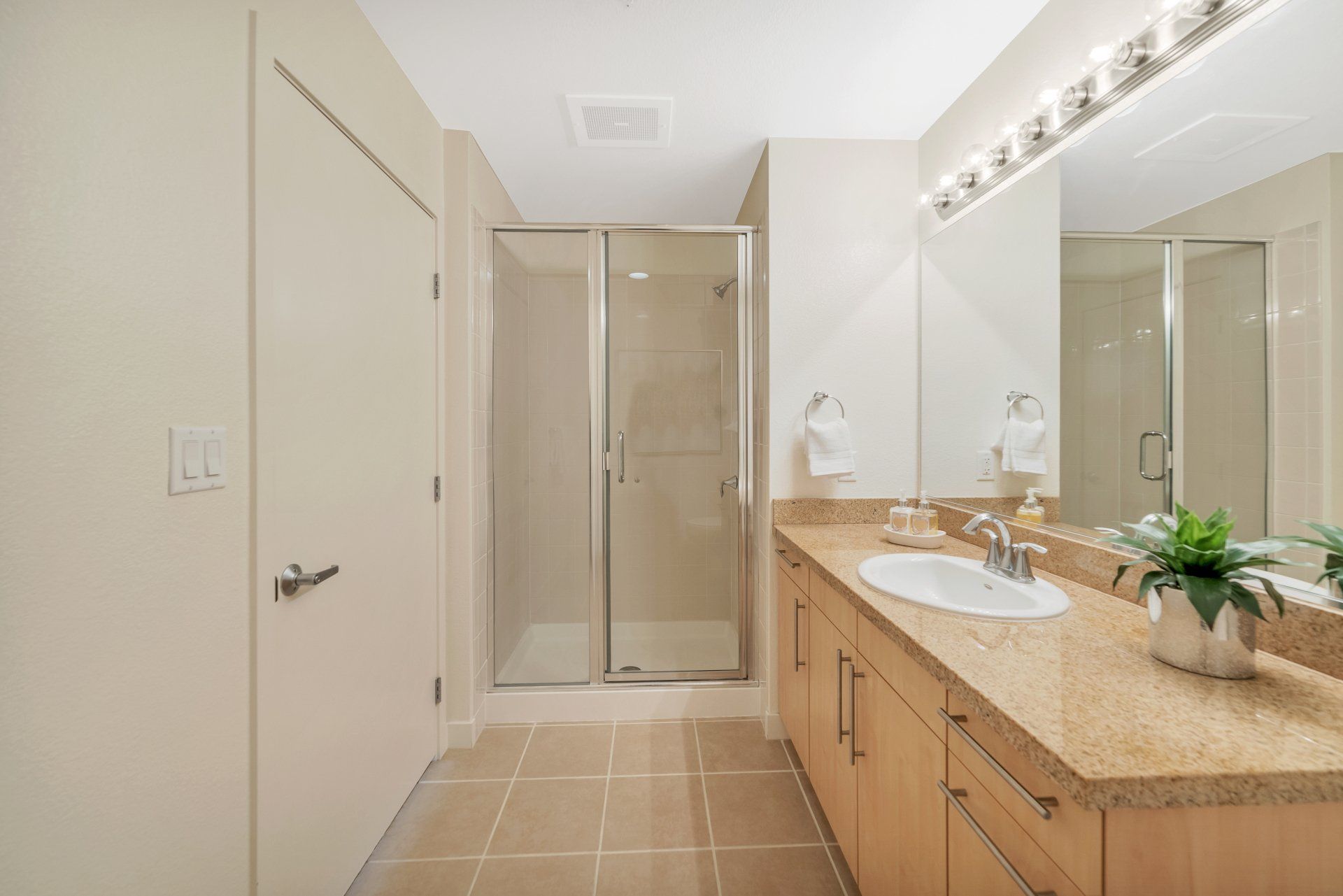 Plant 51 Shower
