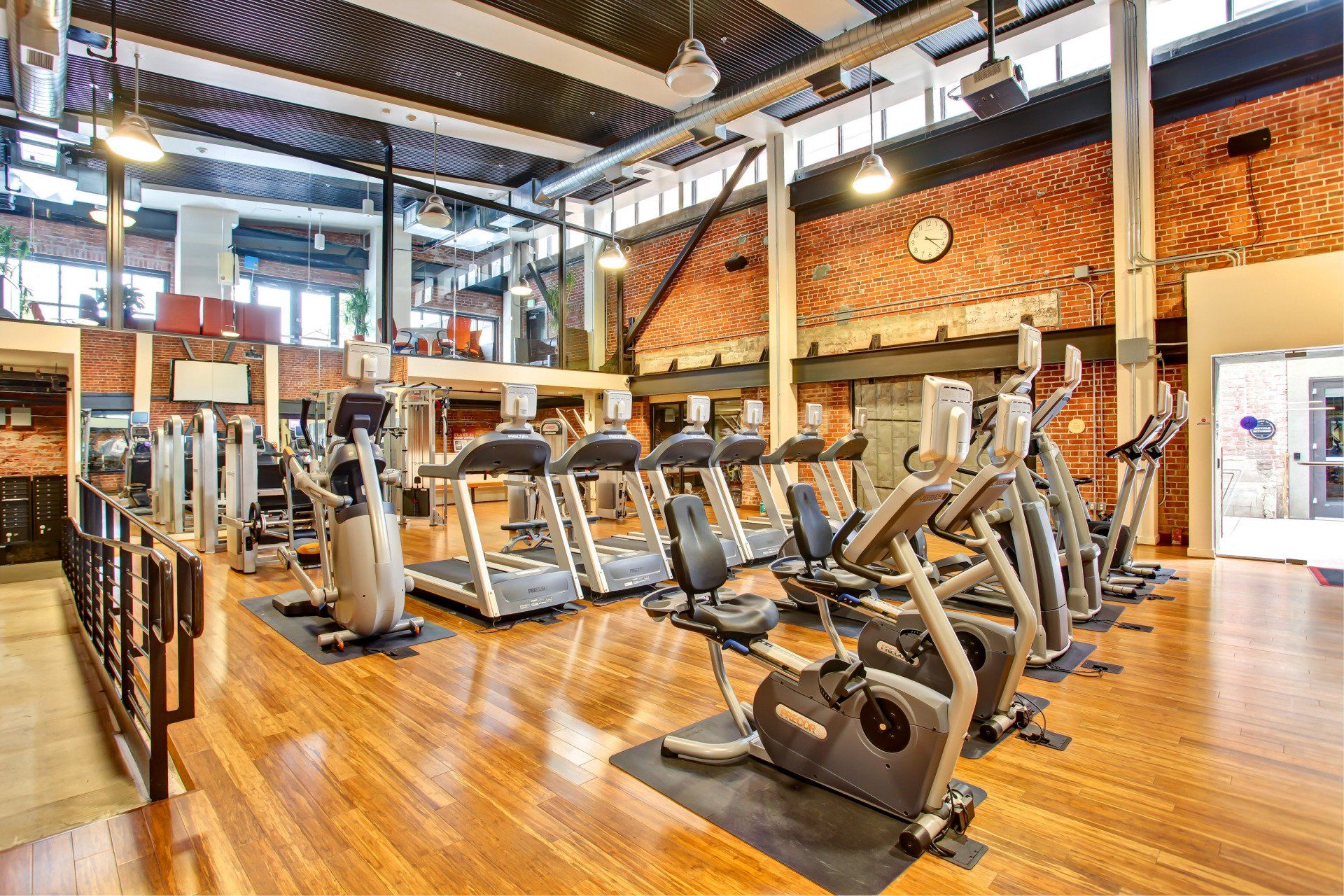 Plant 51 Gym