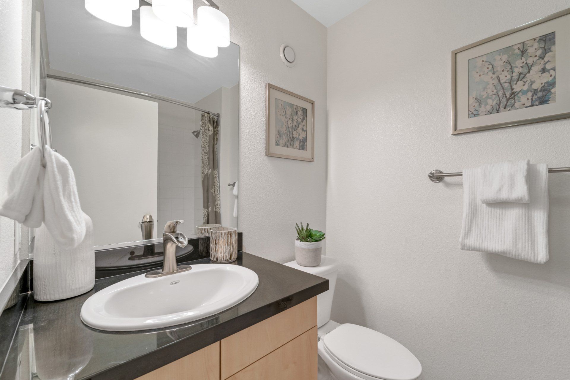 Plant 51 Bathroom