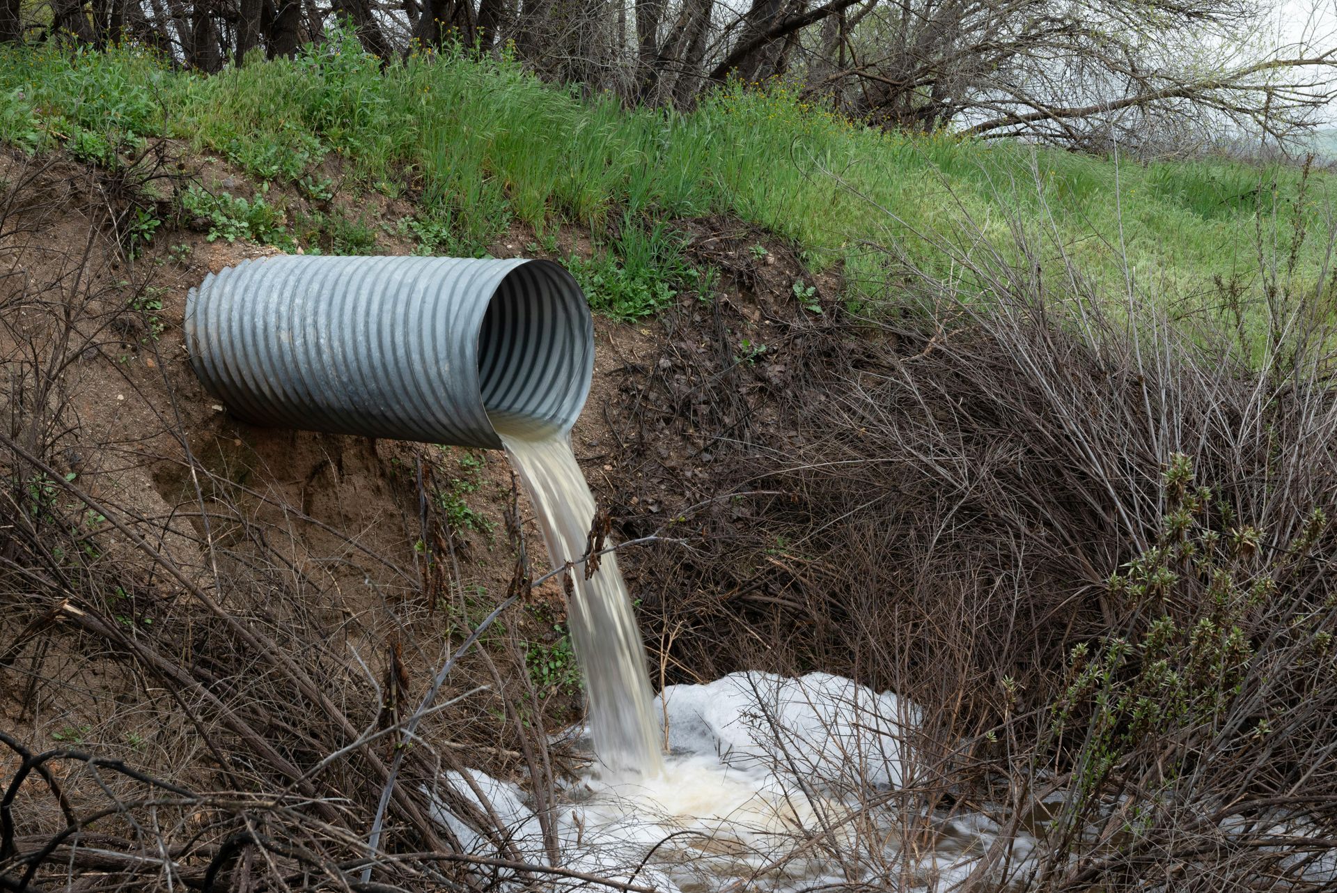A corrugated metal culvert pipe discharging cloudy liquid into a grassy ditch with dry, tangled brush.