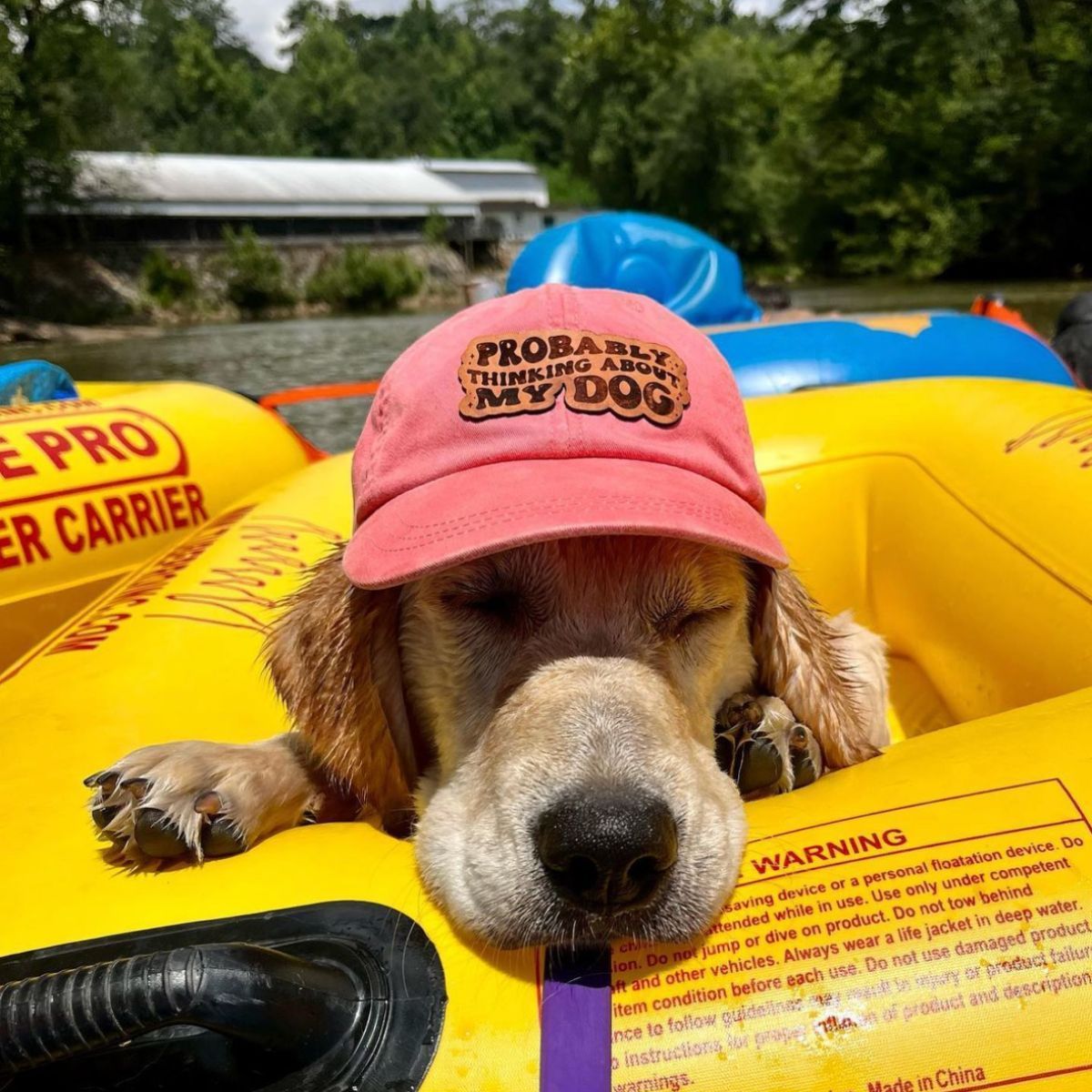 Dog friendly river tubing near greenville SC - Saluda outdoor river company