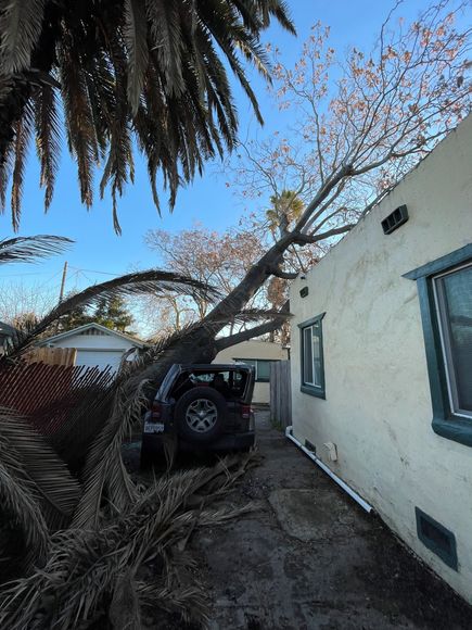 A man is cutting a tree branch with a chainsaw.