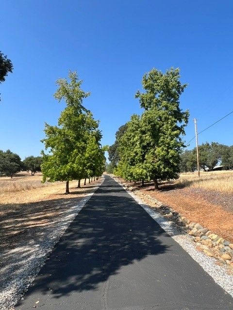 Tree pruning in Sacramento, CA - FC Valley Tree Care Inc.