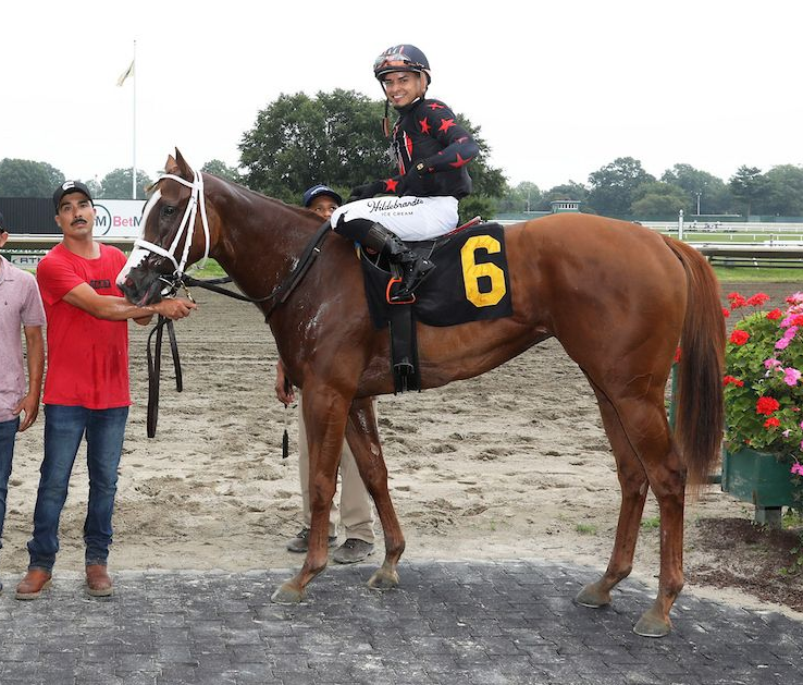 Jockey on brown racehorse with yellow number 6, held by handler on a track