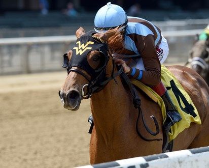Jockey crouched low on a brown racehorse with a yellow saddlecloth, racing on a dirt track.