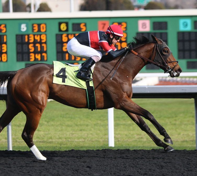 Jockey in red silks rides a brown racehorse past the finish on a dirt track