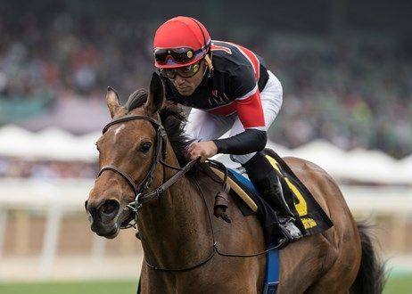 Jockey in red helmet riding a brown racehorse at full speed on a racetrack