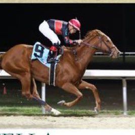 Jockey riding a chestnut horse at full speed on a racetrack at night