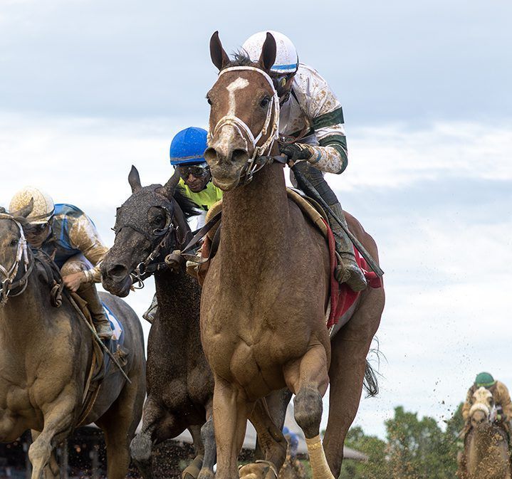 Horse race with jockeys riding close together on a track under a cloudy sky