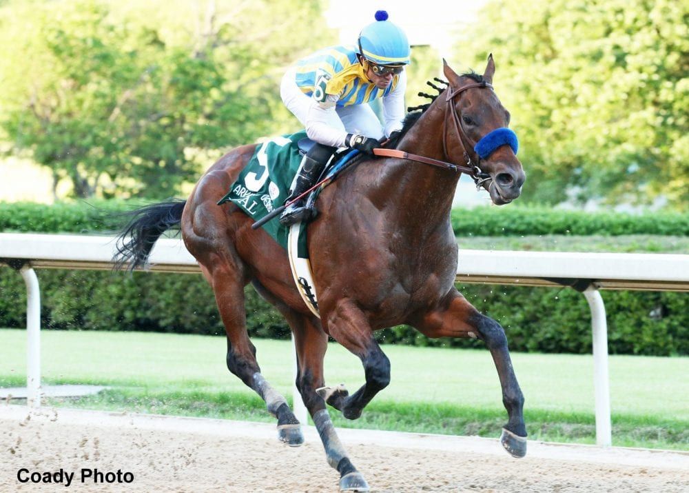 Jockey riding a brown racehorse on a dirt track, mid-stride, with blue headgear and saddlecloth