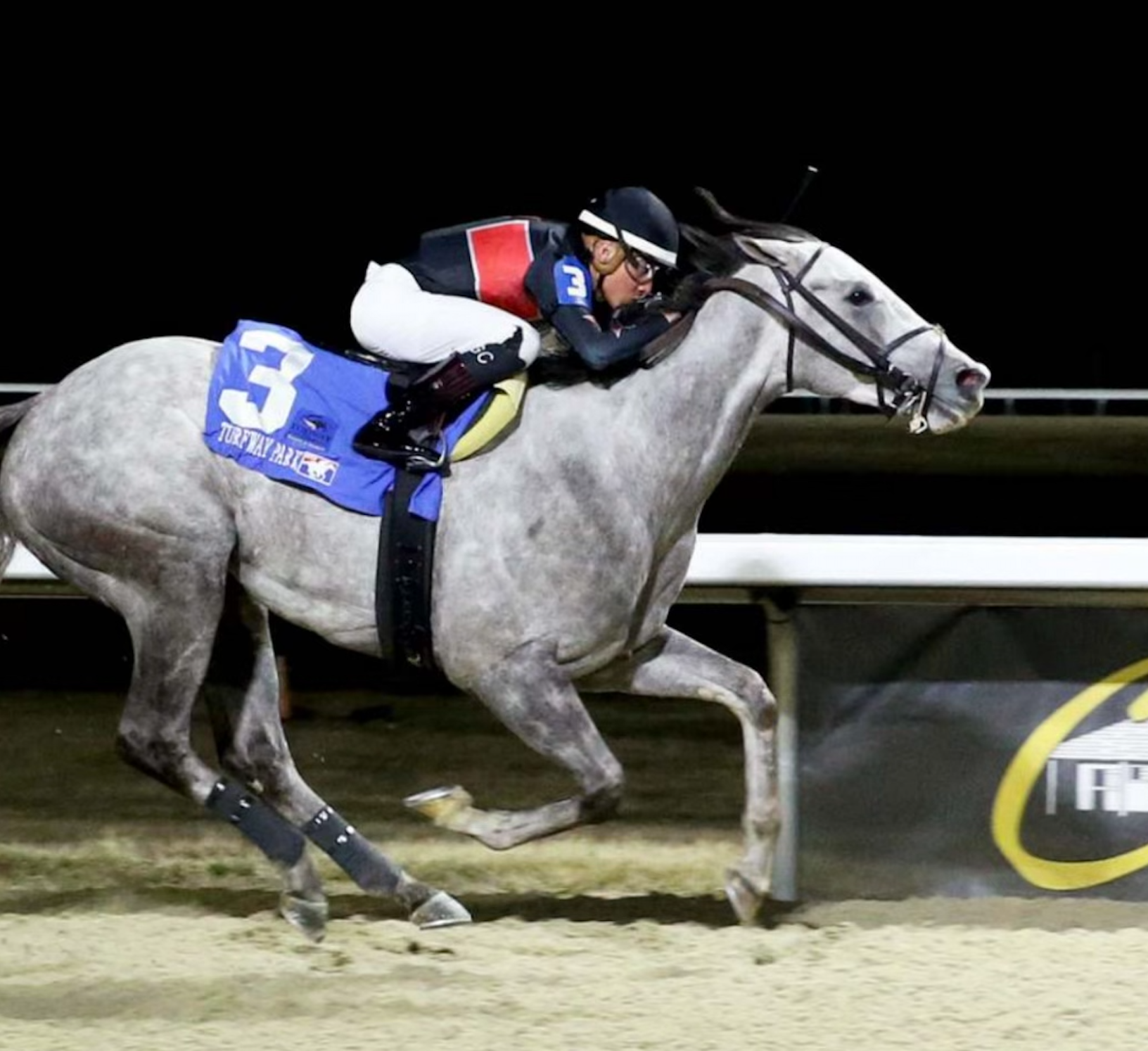 Jockey riding a gray racehorse at night on a dirt track, saddlecloth number 3 visible.