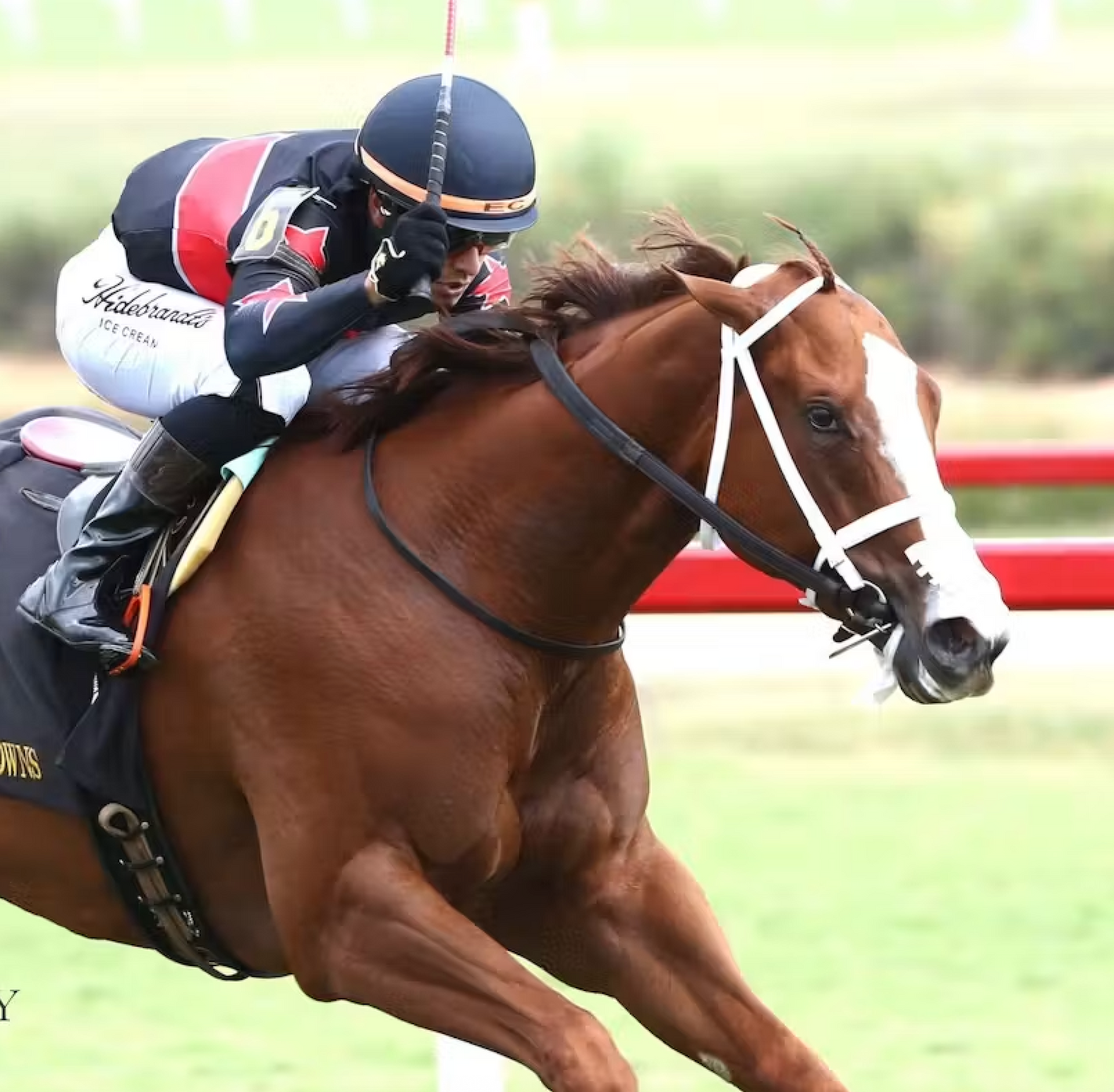 Jockey racing a chestnut horse with a white blaze on a track, leaning low at full speed