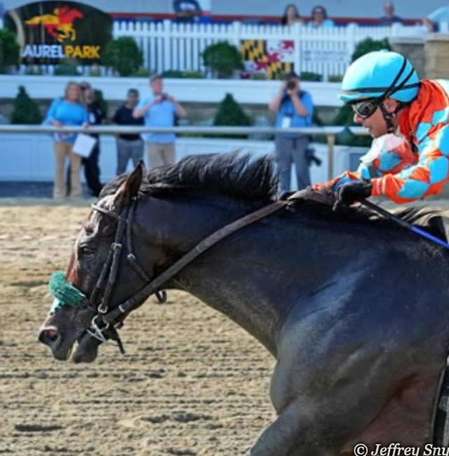 Horse race rider in blue helmet and orange silks on a black horse at the track