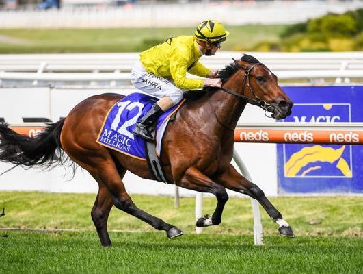 Jockey in yellow riding a brown racehorse on a turf track, number 12 saddlecloth visible