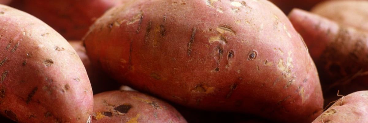 Vibrant Sweet Potato