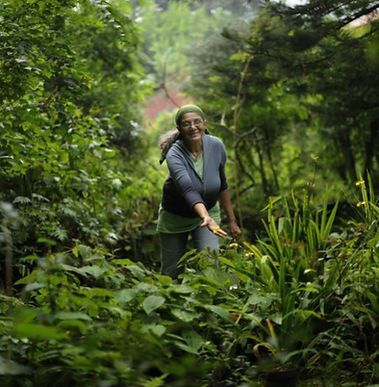 Woman Inside the Forest Woman Inside the Forest