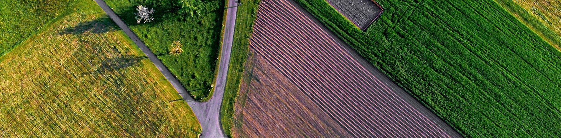 Huge Farm