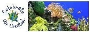 Corals and Fishes Corals and Fishes