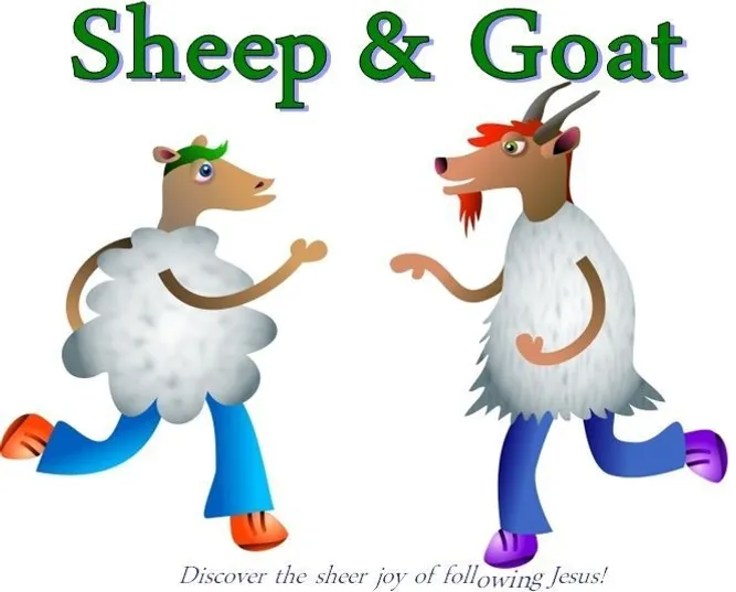 Sheep and Goat Cartoon Sheep and Goat Cartoon