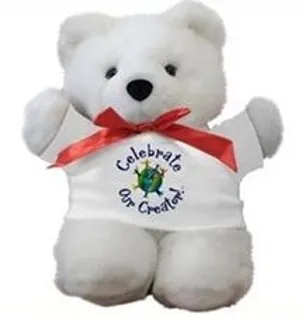 Teddy Bear Wearing a Shirt