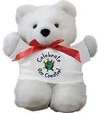 White Teddy Bear