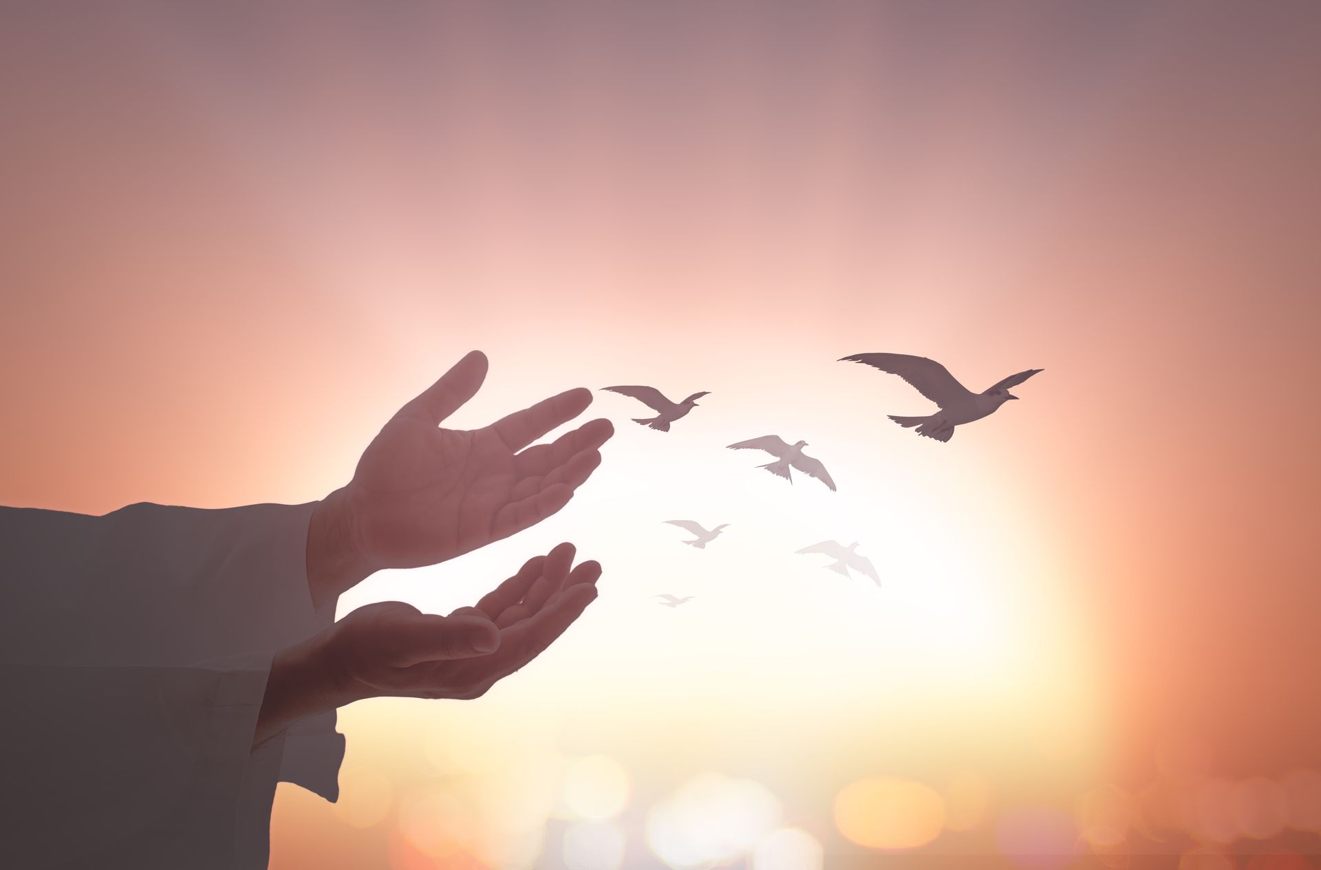 Hands of Our Creator