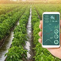 Using Smartphone on the Farm Using Smartphone on the Farm