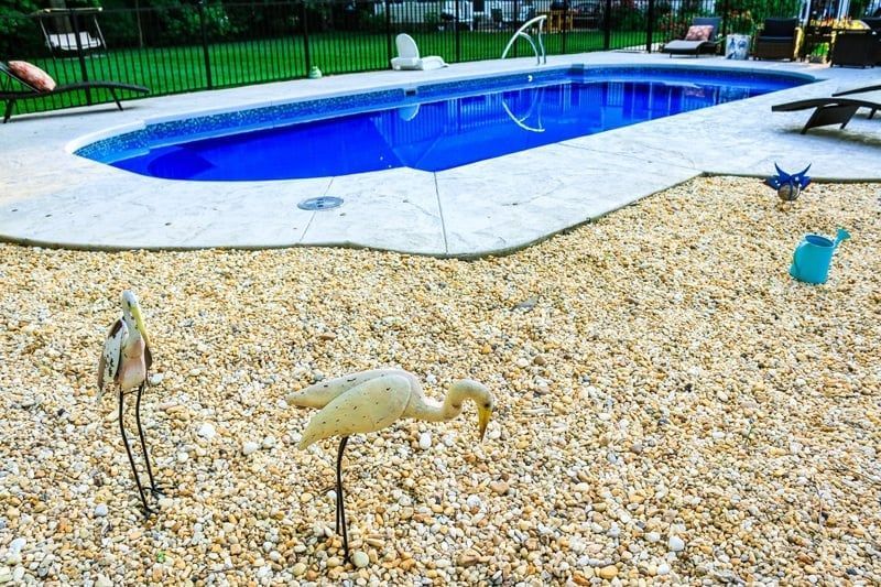 Two cranes standing on gravel beside a blue backyard swimming pool