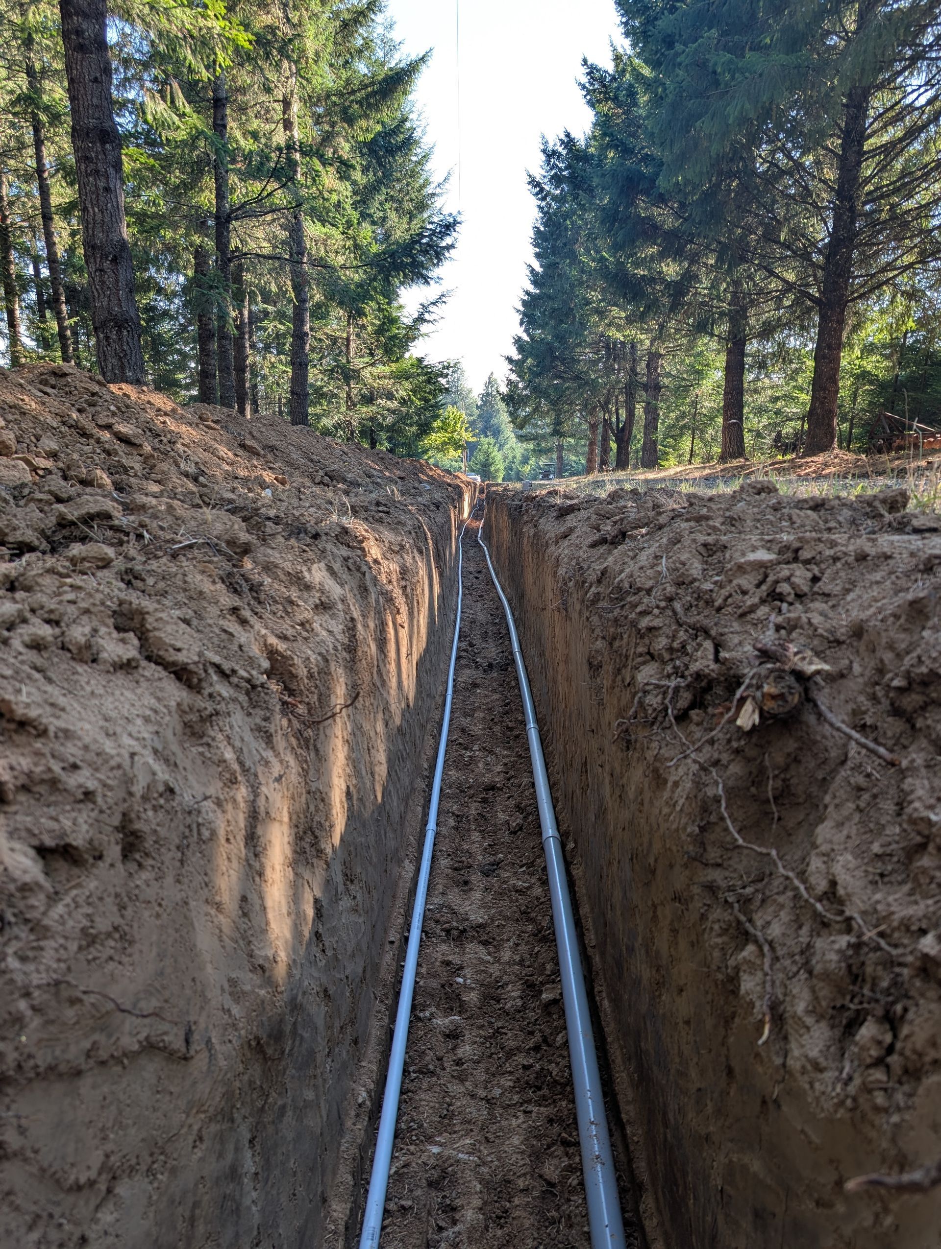 A long trench with a blue pipe running through it in a wooded area.