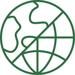 Green globe icon with landmass and grid lines.