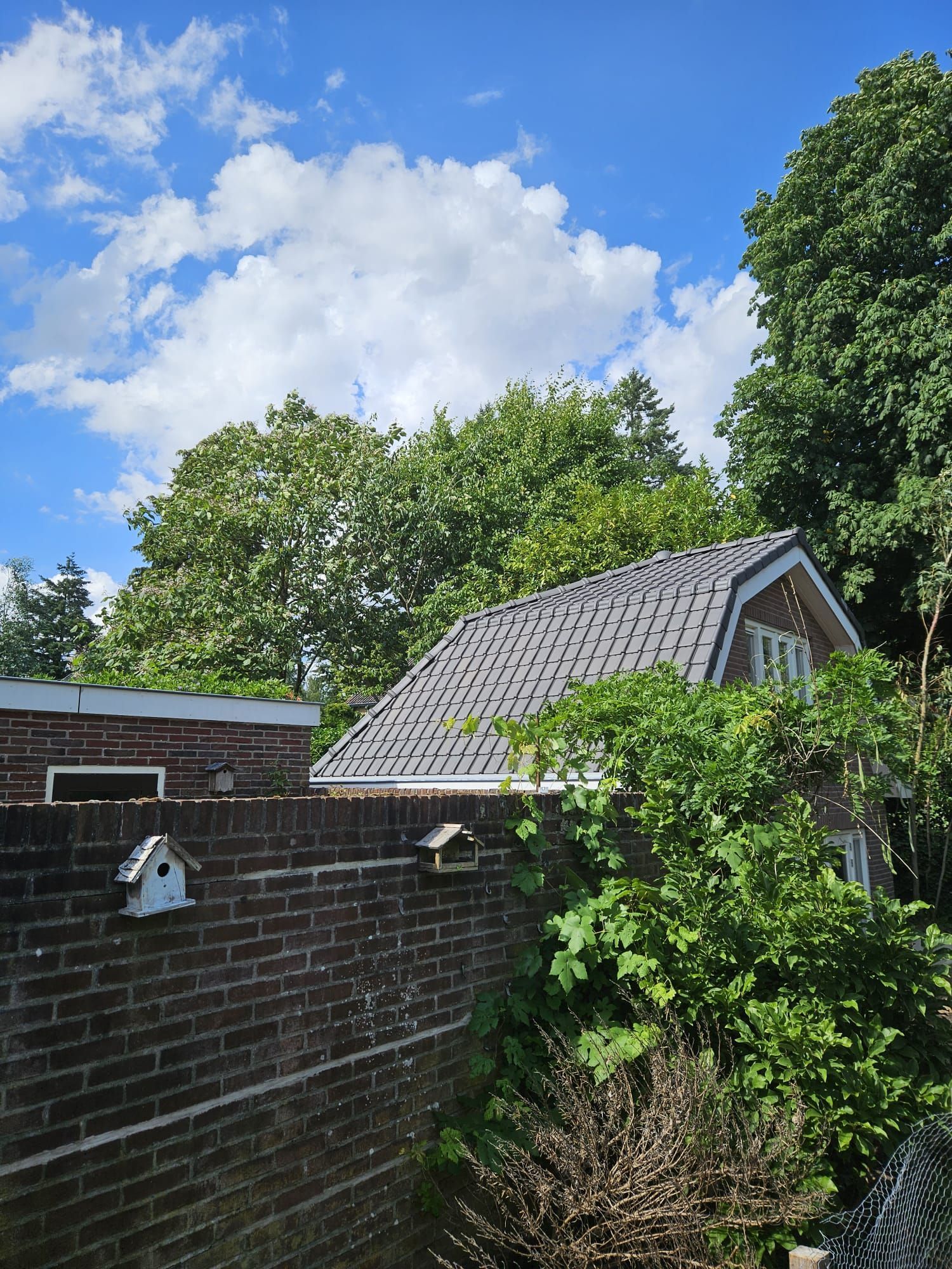 Een bakstenen tuinmuur met klimop, bomen en een grijs dak onder een helderblauwe hemel met wolken.