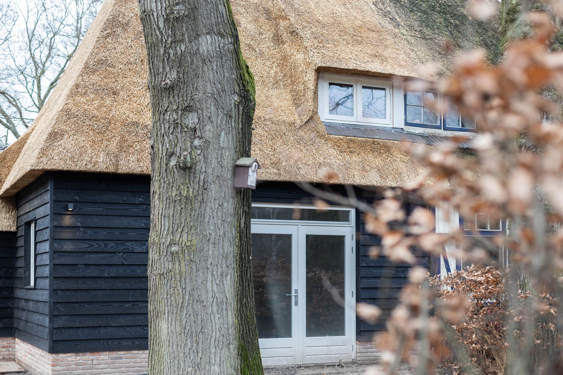 Rieten dak op woning. Donkere houten zijgevel met ramen. Traditionele dak renovatie.